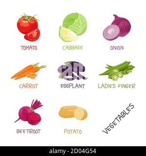 Vector design collection of vegetables with names Stock Vector