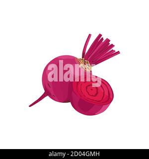 Isolated Beetroot vector design on White Background Stock Vector