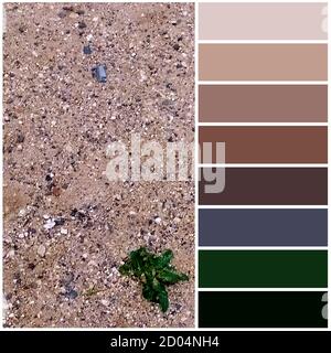 River sand close-up. The color palette coming from the image corresponds to the shades of autumn. Stock Photo