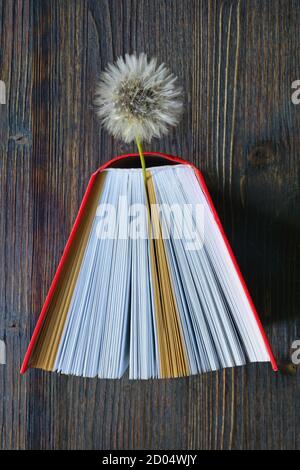 Book with dandelion flower as bookmark on rustic table Stock Photo