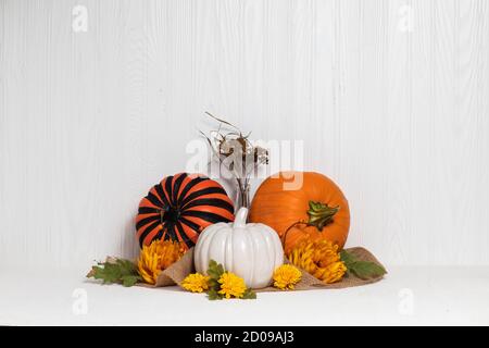 Halloween pumpkin composition with different colors with white background Stock Photo