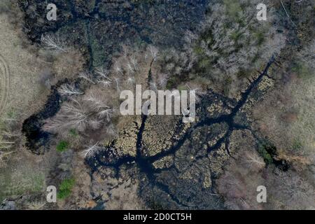 Swamp view from drone. Swampy landscape in early spring. View of an impassable swamp from height. Aerial photography. Stock Photo