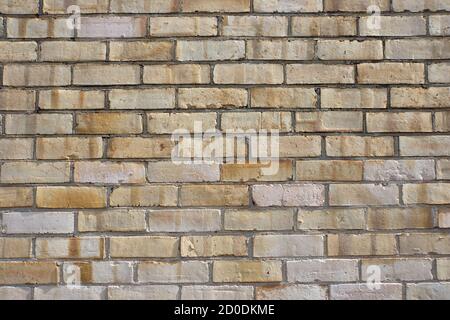 Cream and white brick wall background in abstract patterns. Stock Photo