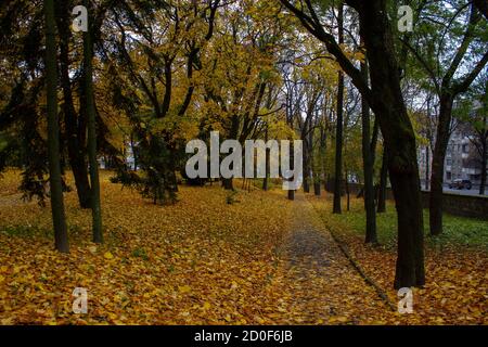 Autumn day in the park, Ukraine Stock Photo
