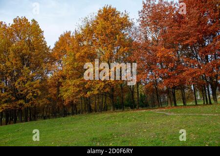 Beautiful autumn day in the park, Ukraine Stock Photo