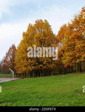 Autumn day in the park, Ukraine Stock Photo