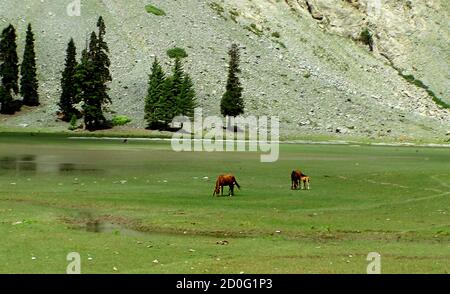 Mahodand Lake is a lake located in the upper Usho Valley at a distance of about 35 kilometres from Kalam in Swat District of Khyber Pakhtunkhwa provin Stock Photo