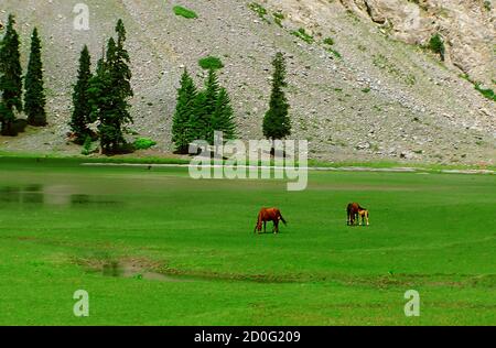 Mahodand Lake is a lake located in the upper Usho Valley at a distance of about 35 kilometres from Kalam in Swat District of Khyber Pakhtunkhwa provin Stock Photo