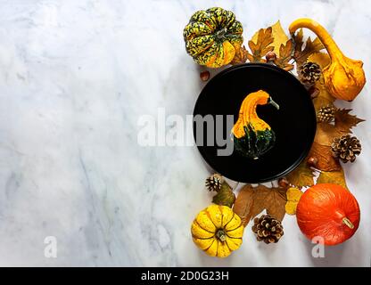 Autumn and Thanksgiving day table setting with fallen leaves and decorative pumpkins Stock Photo