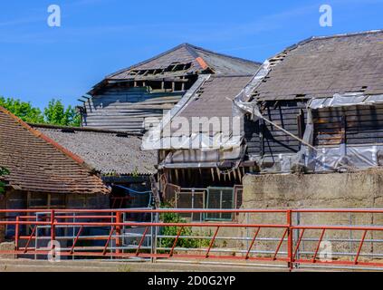 Old dilapidated farm buildings with broken tiled roofs  with holes & red metal fence in front. Pinner Park Farm, Pinner, Harrow, NW London UK. Stock Photo