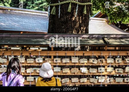 People standing in front of wooden Ema votive plaques at Meiji Jingu Shrine in Tokyo Stock Photo