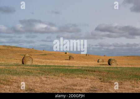 Hay Bales after fall harvest on the Canadian Prairies. South Eastern Saskatchewan. Stock Photo