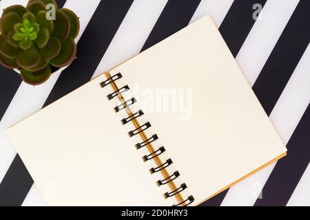 top view of open blank notebook and succulent on black and white striped background. Stylish minimalistic flat lay Stock Photo