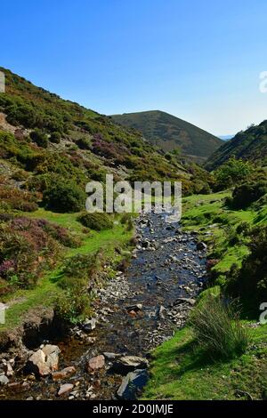 Stream through the Shropshire Hills, near Carding Mill Valley, Church Stretton, Shropshire, UK Stock Photo