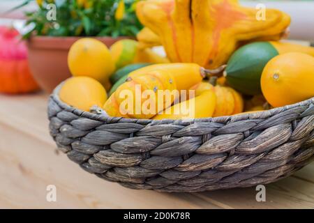 An assortment of small decorative pumpkins in a basket. Autumn interior composition. Stock Photo
