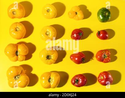 Rhythm pattern of different color farm tomatoes with hard shadows on bright yellow background. Stock Photo