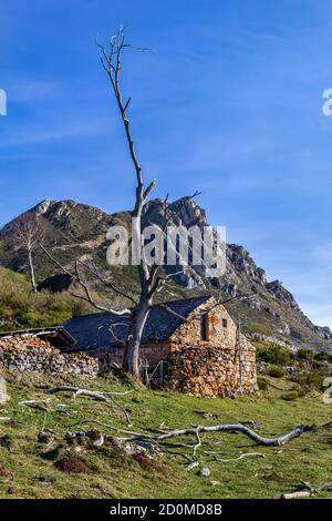 Old shepherd's hut in the Somiedo Natural Park. Stock Photo