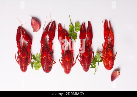 Red boiled lobsters on the white background with herbs and garlic Stock Photo