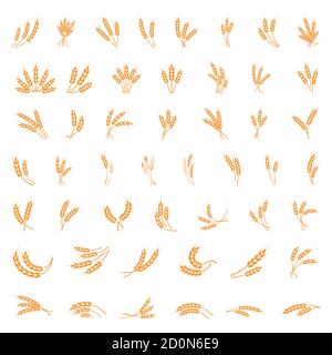 Symbols. for logo design Wheat. Agriculture, corn, barley, stalks, organic plants, bread, food natural harvest vector illustration on white background Stock Vector