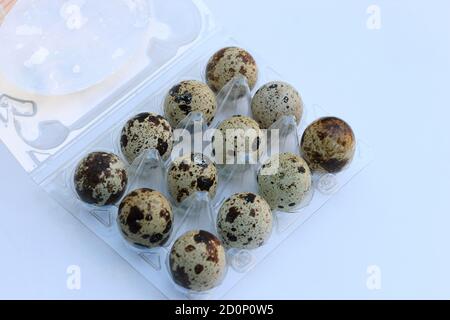 Quail Eggs in a Box Stock Photo