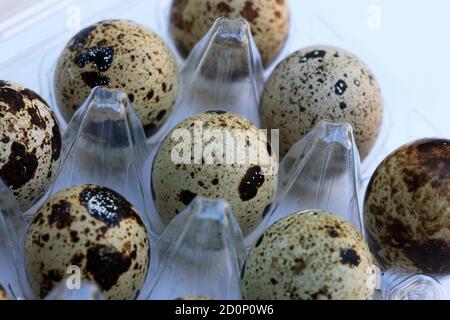 Quail Eggs in a Box Stock Photo