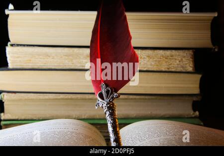 View on isolated antique red feather ink pen on pages of open book and piled books background (focus on center of feather) Stock Photo