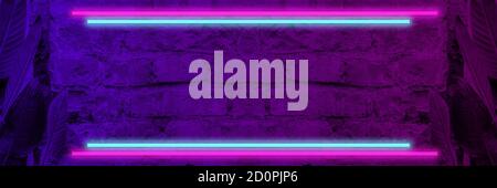 Lighting Effect frame pink and blue neon on brick wall for background party or your text.Green leaves of tropical plant next to loft brick wall. Banne Stock Photo