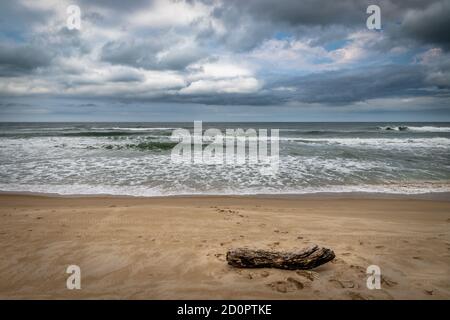 View of a log washed up on the shore of Florianopolis Brazil on a stormy clouds background Stock Photo