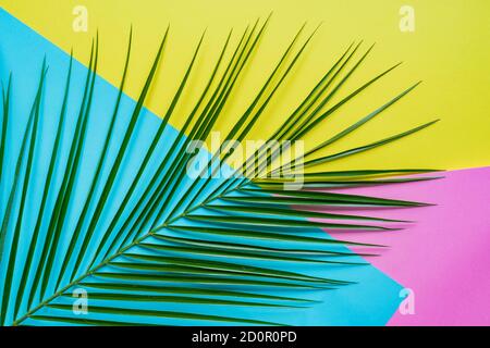 Tropical palm leaf with shadows on blue, pink and yellow background. Summer concept. Stock Photo