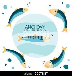 Anchovy fish vector illustration. Small salted fodder fish of the Engraulidae family. Peruvian anchovy. Tasty food. Seafood healthy diet. California Stock Vector