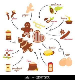 Recipe for making gingerbread cookie in English, vector illustration on a white background Stock Vector