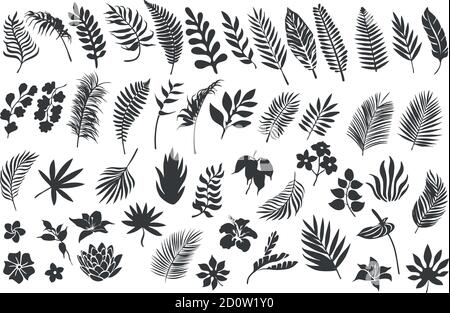 Silhouette of palm leaves and tropical plants  Stock Vector