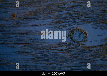 Wood texture Stock Photo