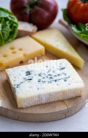 Cheese collection, French fol epi cheese with many little holes, etorki, tomme noire des pyrenees and ossau iraty cheeses close up Stock Photo