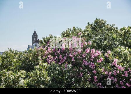 Summer time in Sitges, Spain Stock Photo
