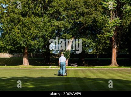 Older man mowing grass on bowling green in sunshine, Dirleton, East Lothian, Scotland, UK Stock Photo