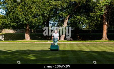 Older man mowing grass on bowling green in sunshine, Dirleton, East Lothian, Scotland, UK Stock Photo