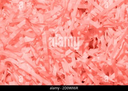 Trend photography on the theme on the actual colors for this season - a shade of orange. Set paper confetti photographed close-up. Stock Photo