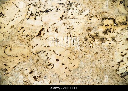 Hardwood Surface Texture Background. Rough Grunge Texture Stock Photo