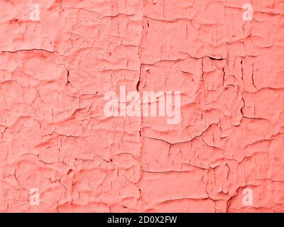 Trend photography on the theme of the actual colors for this season - a shade of orange. Old light wood wall panel are covered with cracked paint. Stock Photo