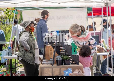 Plant Shopping at the Waverly Market, Baltimore, Maryland Stock Photo