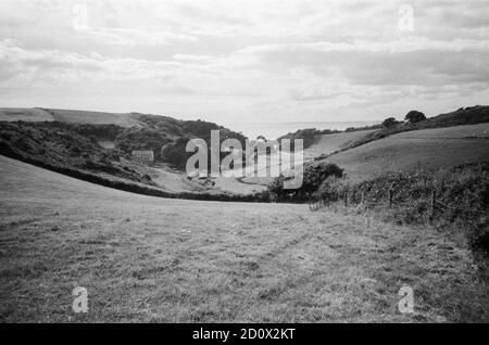 Fields in Bolberry near Hope Cove, Kingsbridge, Devon,England,United Kingdom. Stock Photo