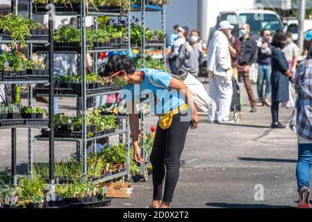 Shopping at the Waverly Market, Baltimore, Maryland Stock Photo