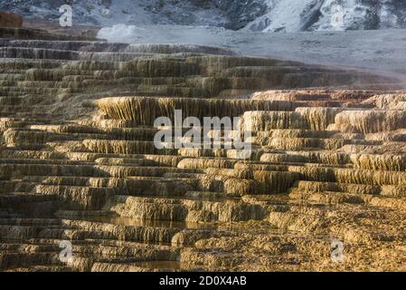 Mammoth Hot Springs, at sunrise, Yellowstone National Park, Wyoming, USA Stock Photo