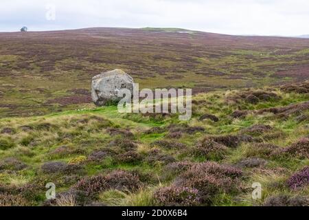 Granite erratic boulder, Crosby Ravensworth Fell, Cumbria, England, UK Stock Photo