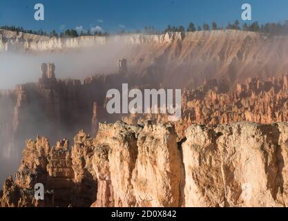 Fog in Bryce Canyon National Park, Utah, Usa, America Stock Photo