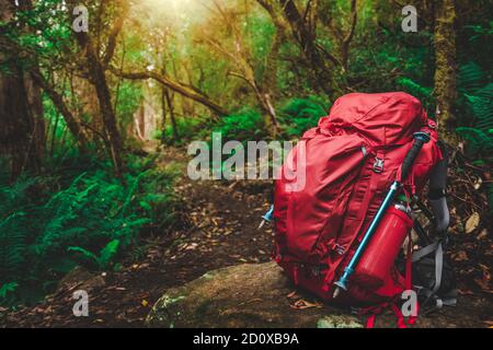 Red backpack and hiking gear set placed on rock in rainforest of Tasmania, Australia. Trekking and camping adventure. Stock Photo