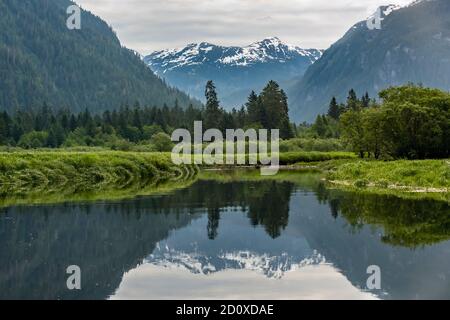 Khutzeymateen inlet with snow covered mountains, rainforest and sedge grass with reflections, BC Stock Photo