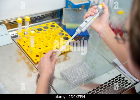 COVID-19 testing equipment and procedure in a testing laboratory. Stock Photo