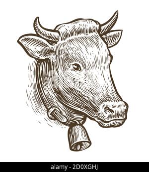 Cow sketch. Hand drawn farm animal vintage vector illustration Stock Vector